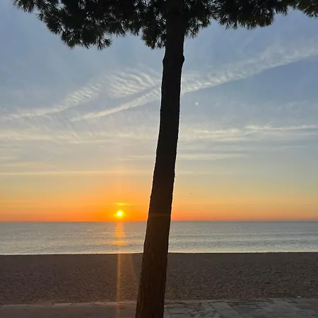 Bravamar Studio, Playa De Aro, Spain