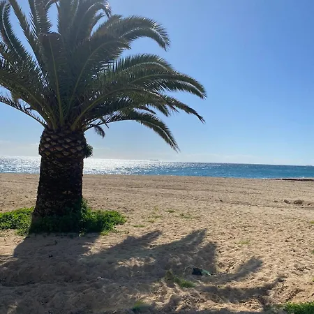 Bravamar Studio, Playa De Aro, Spain Apartmán Platja d'Aro