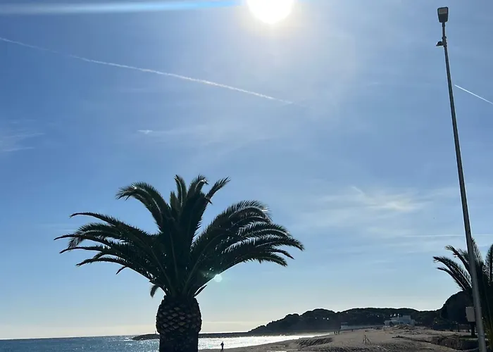 Bravamar Studio, Playa De Aro, Spain Διαμέρισμα Platja d'Aro