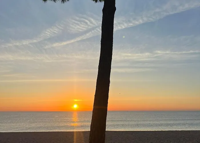 Bravamar Studio, Playa De Aro, Spain