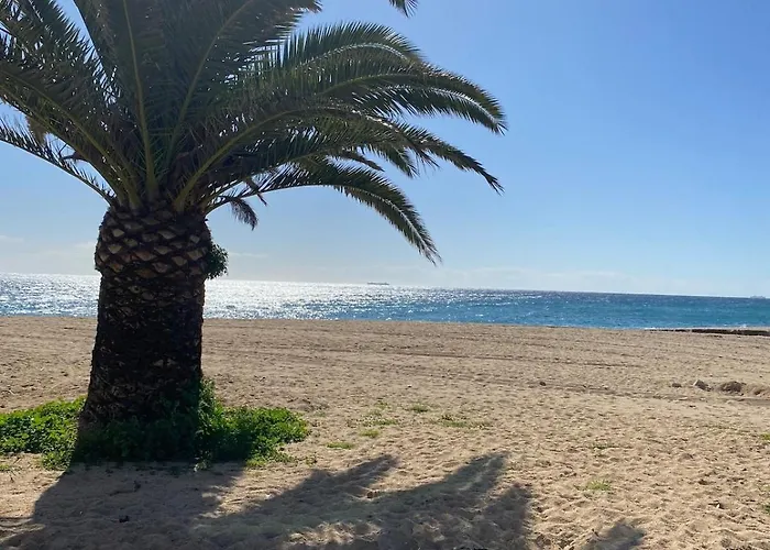 Bravamar Studio, Playa De Aro, Spain Апартаменти Платжа-д'Ару